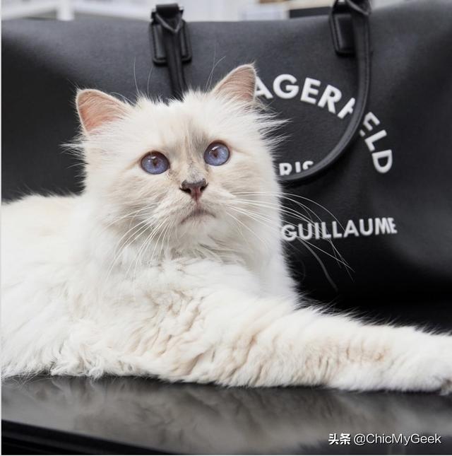 卡尔拉格斐为什么会被尊称老佛爷(拉格斐逝世三周年)(12)