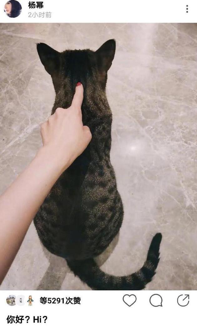 杨幂魏大勋甜蜜互动盘点（杨幂魏大勋同发情侣文案）(4)