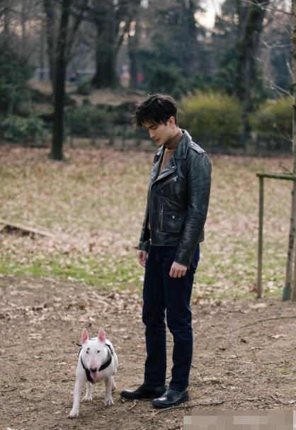 杨幂拥有嘉行45亿身价是真的吗（杨幂公司旗下的嘉行四子）(14)