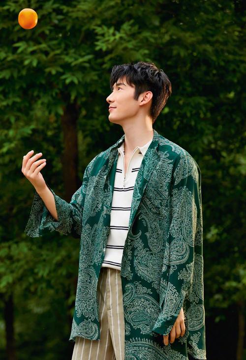 杨幂拥有嘉行45亿身价是真的吗（杨幂公司旗下的嘉行四子）(21)