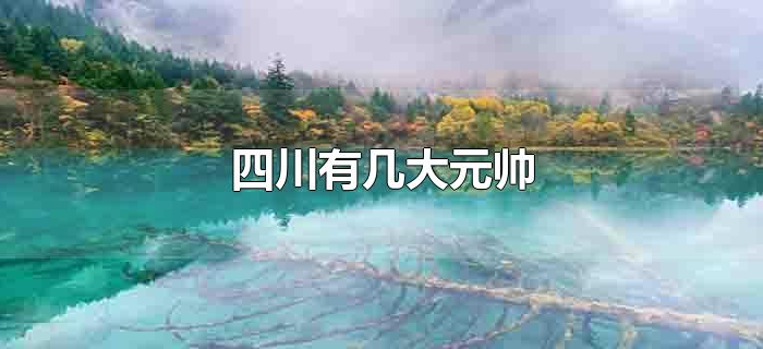 四川有几大元帅 四川有几大元帅