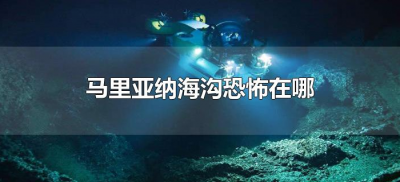 ​马里亚纳海沟恐怖在哪（马里亚纳海沟万米有多恐怖）