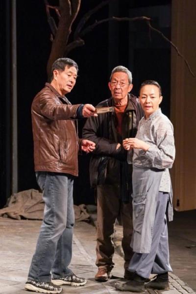 宋丹丹主演的电视剧（喜剧皇后宋丹丹的跌宕人生）(18)