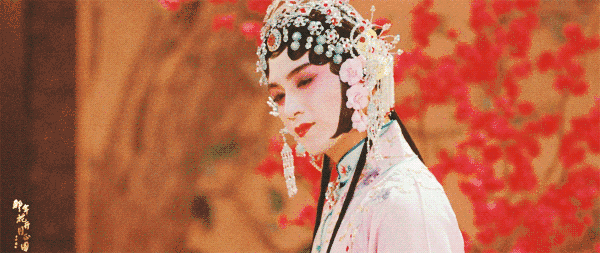 孙俪今年的新电视剧有哪些（孙俪在新剧里就是个）(39)