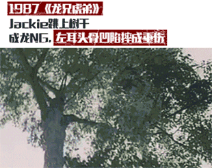 香港有哪些明星演过电影（哪十位演员最能代表香港电影）(13)