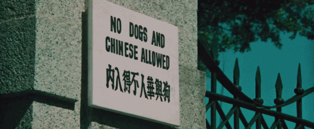 香港有哪些明星演过电影（哪十位演员最能代表香港电影）(3)