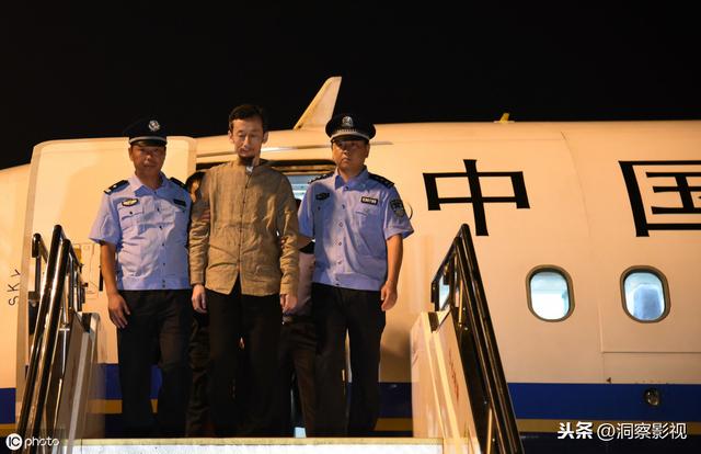 向华强的电影事业让人惊叹（向华强公司出品）(26)