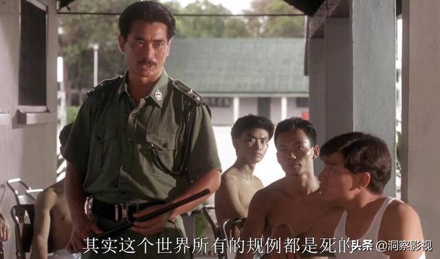 向华强的电影事业让人惊叹（向华强公司出品）(14)