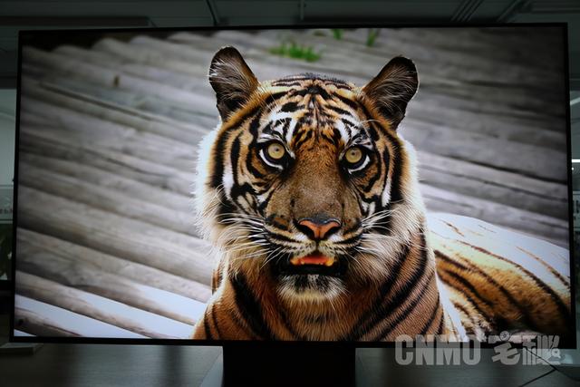 小米电视6 75寸测评（小米电视6至尊版评测）(9)