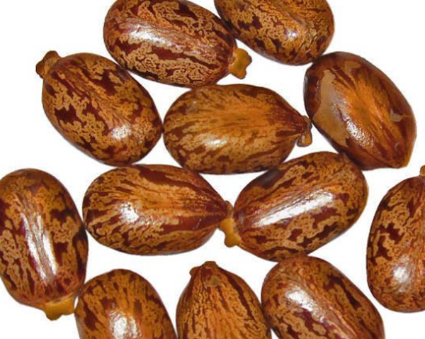 致命毒药有哪些?清点致死速度最快的十种毒药