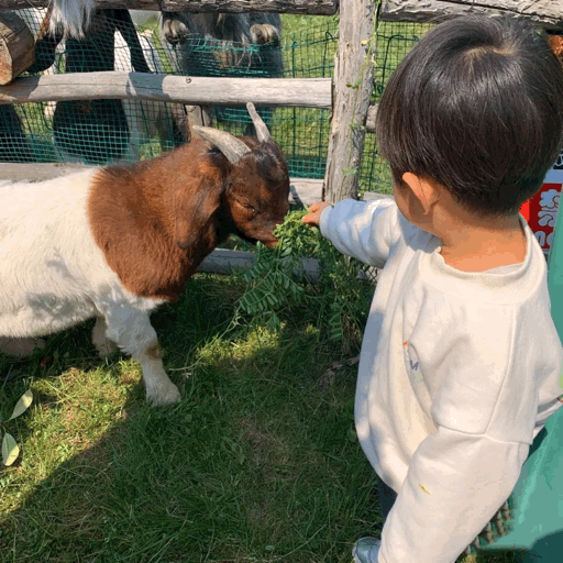 户外亲子乐园西安(西安这8大户外遛娃神地)(4)
