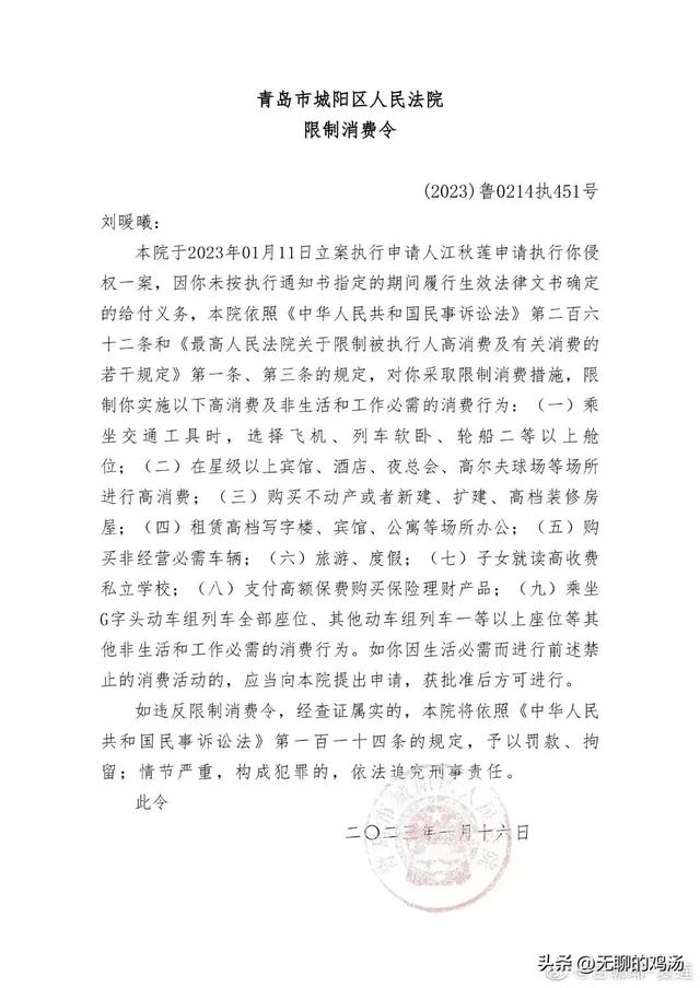 被处罚金和没收全部财产(刘暖曦被限制消费令)(4)
