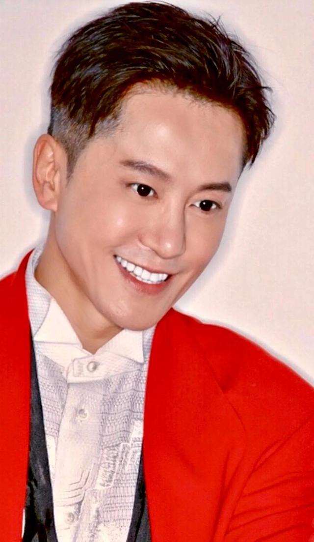 歌手毛宁现状（被刺伤后事业下滑）(10)