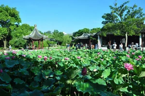 不可小看的上海一条小街多伦路(魔都100条必逛小马路)(109)