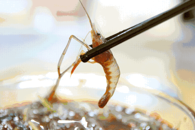 不可小看的上海一条小街多伦路(魔都100条必逛小马路)(68)