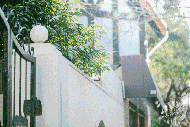 不可小看的上海一条小街多伦路(魔都100条必逛小马路)(5)