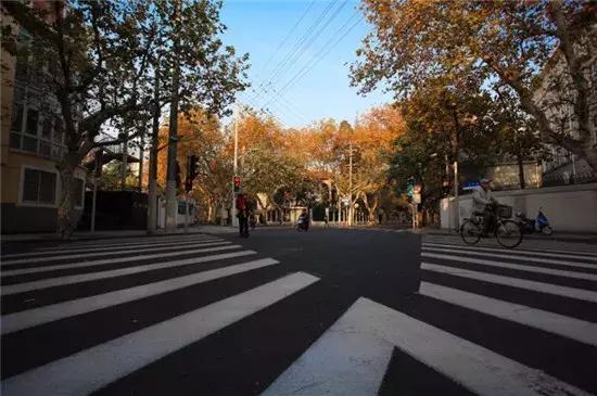 不可小看的上海一条小街多伦路(魔都100条必逛小马路)(10)