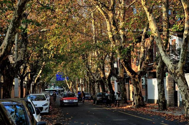 不可小看的上海一条小街多伦路(魔都100条必逛小马路)(13)