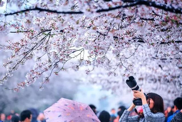 不可小看的上海一条小街多伦路(魔都100条必逛小马路)(103)