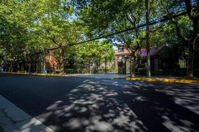 不可小看的上海一条小街多伦路(魔都100条必逛小马路)(36)