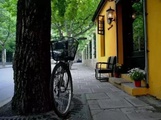 不可小看的上海一条小街多伦路(魔都100条必逛小马路)(8)