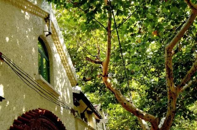 不可小看的上海一条小街多伦路(魔都100条必逛小马路)(16)