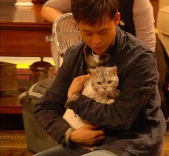 演员张译照顾女友10年直到去世（张译初恋昏迷10年）(26)