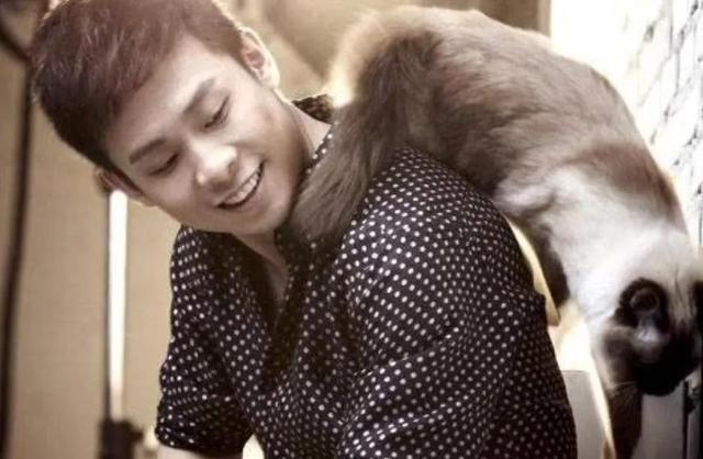 演员张译照顾女友10年直到去世（张译初恋昏迷10年）(23)