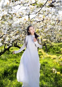 ​杨丽萍的年龄和个人资料 61岁杨丽萍近照曝光