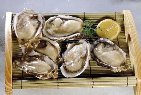 甘旨:闭于牡蛎的13个究竟究竟(可变换性别)