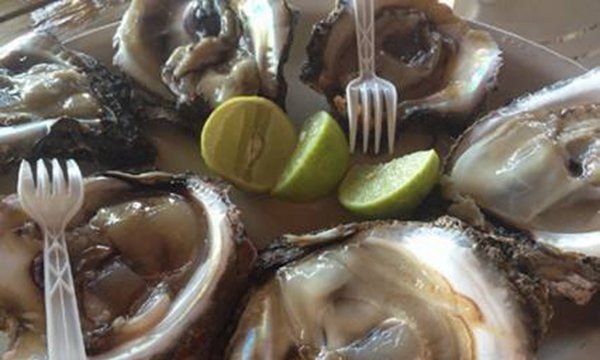 甘旨:闭于牡蛎的13个究竟究竟(可变换性别)