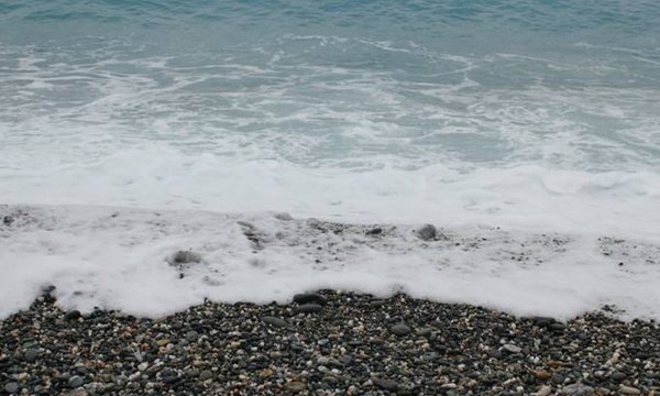 甘旨:闭于牡蛎的13个究竟究竟(可变换性别)