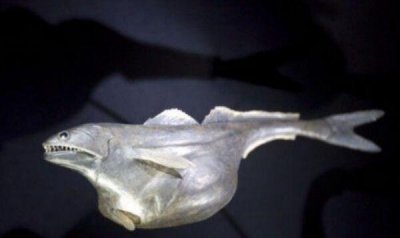 ​十种水下恐惧生物，五个形状恐惧五个伟大恐怖（（水点鱼很恶心）