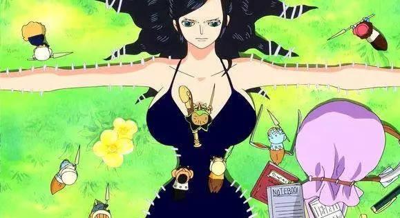 海贼王罗宾所有角色介绍（罗宾当起老司机来开车时）(3)