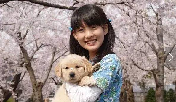 最值得观看的两部关于狗狗的电影(一定要看的七部狗狗电影)(4)