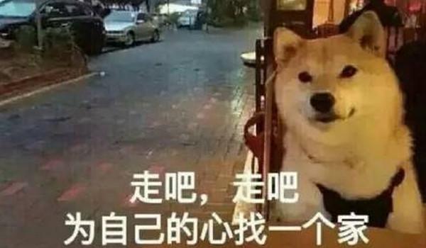 最值得观看的两部关于狗狗的电影(一定要看的七部狗狗电影)(1)