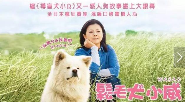 最值得观看的两部关于狗狗的电影(一定要看的七部狗狗电影)(6)