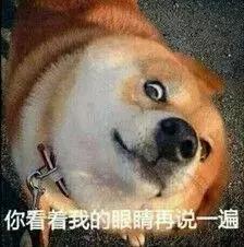 最值得观看的两部关于狗狗的电影(一定要看的七部狗狗电影)(2)