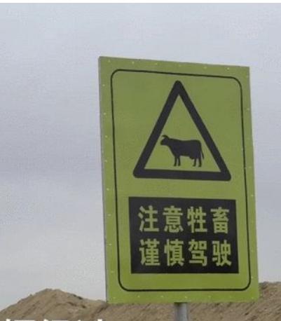 于月仙车祸怎么去世（于月仙举行遗体告别仪式）(4)