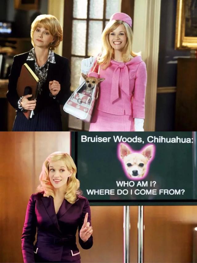 女孩子应该看的好的电影(适合女生看的12部高分电影)(8)