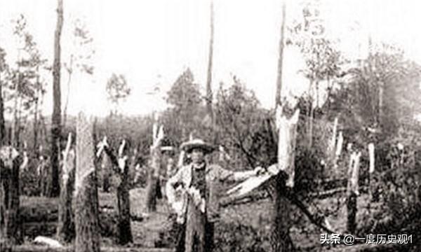 1994年发生在贵州的空中怪车事件（1994年贵阳出现空中怪车）(3)