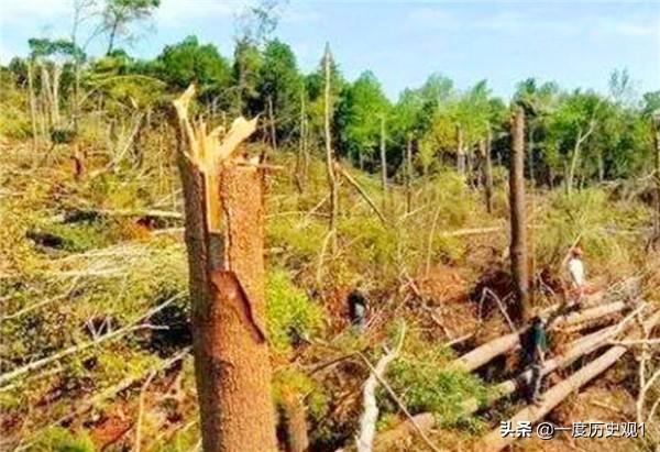 1994年发生在贵州的空中怪车事件（1994年贵阳出现空中怪车）(4)