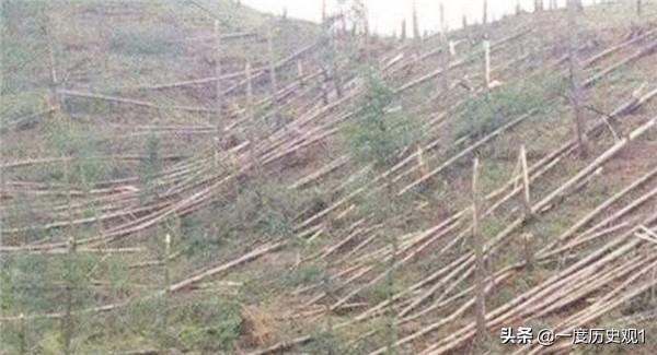 1994年发生在贵州的空中怪车事件（1994年贵阳出现空中怪车）(7)