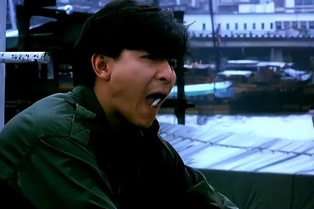 刘德华最新十部电影（刘德华参演的全部电影）(2)