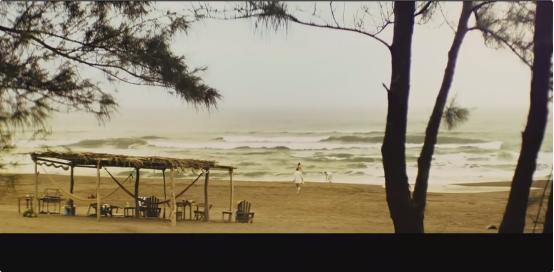 电影简介去哪里找(电影抓住外国佬)(5)