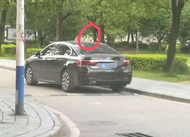 大学门前车顶放瓶水（广西一高校门前多辆车顶放水瓶）(9)