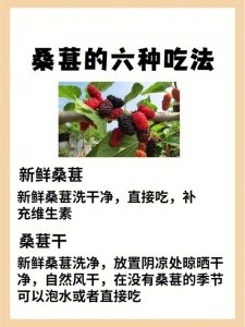 桑葚的功效与作用及正确吃法(桑葚的功效与作用及正确吃法是什么)