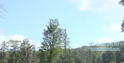 ​中国最神奇的五大死亡禁地 死亡之海罗布泊于今无法阐明