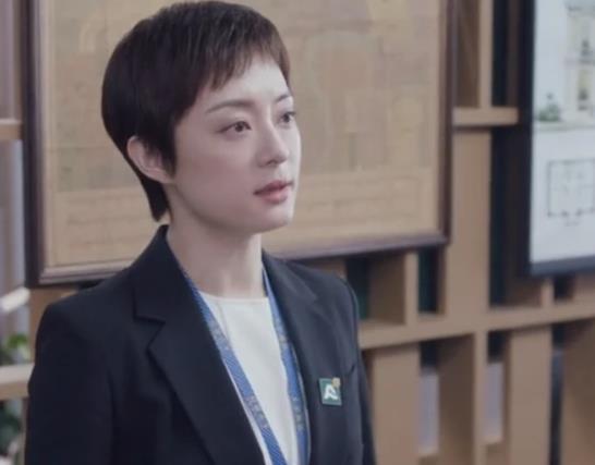 电视剧安家53集内容简介(安家第二部城家共53集)(5)