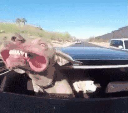 海外留学生回国怎么样买免税车（留学生回国免税车攻略）(22)